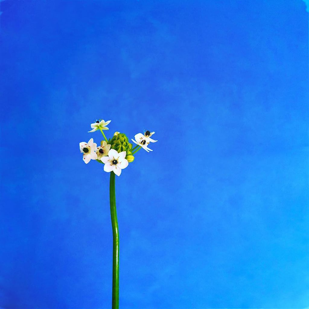 Mobiography Photo Challenge: 19 Beautifully Blue Inspired Smartphone Photos 10