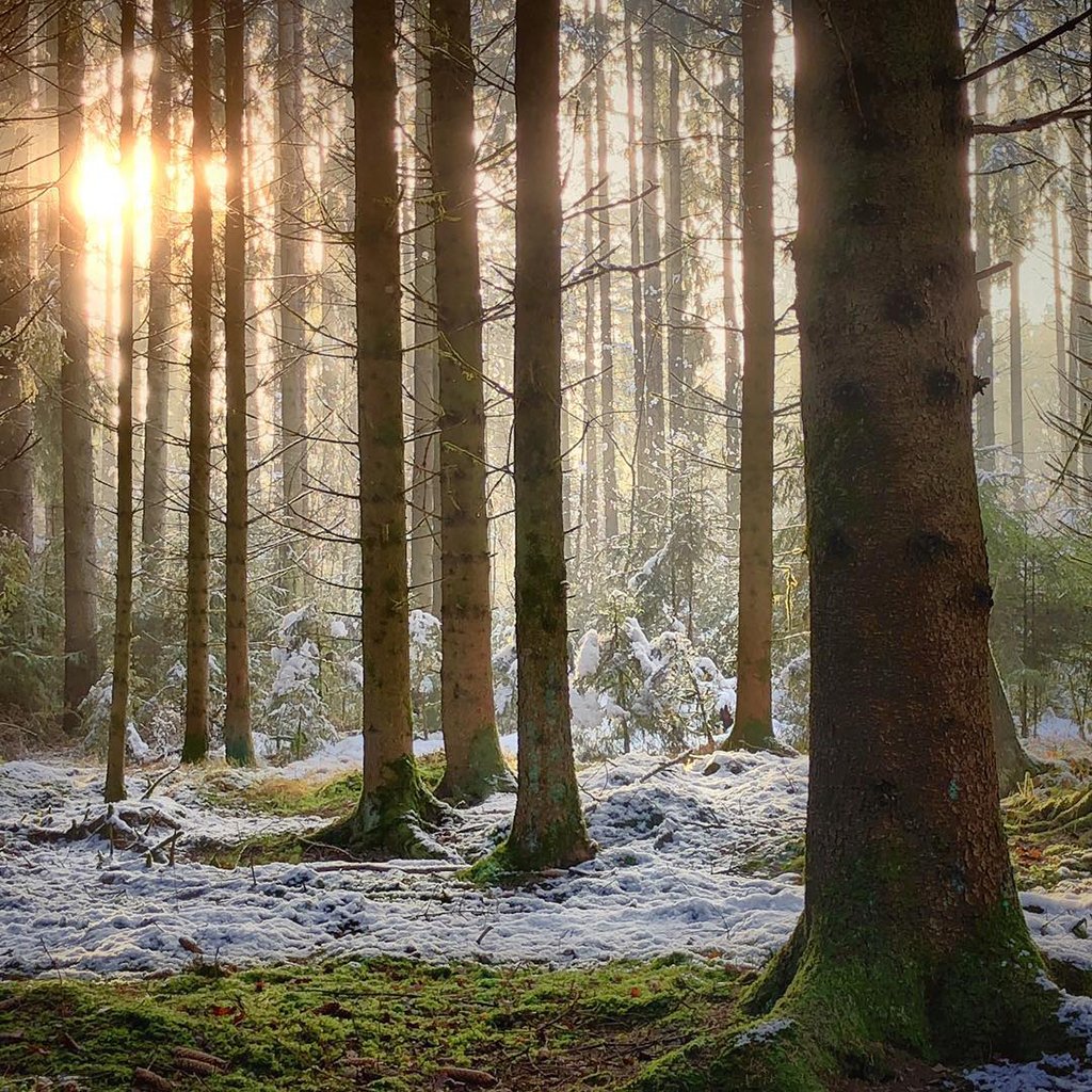 Mobiography Photo Challenge: 13 Wintertime Inspired Smartphone Photos 4