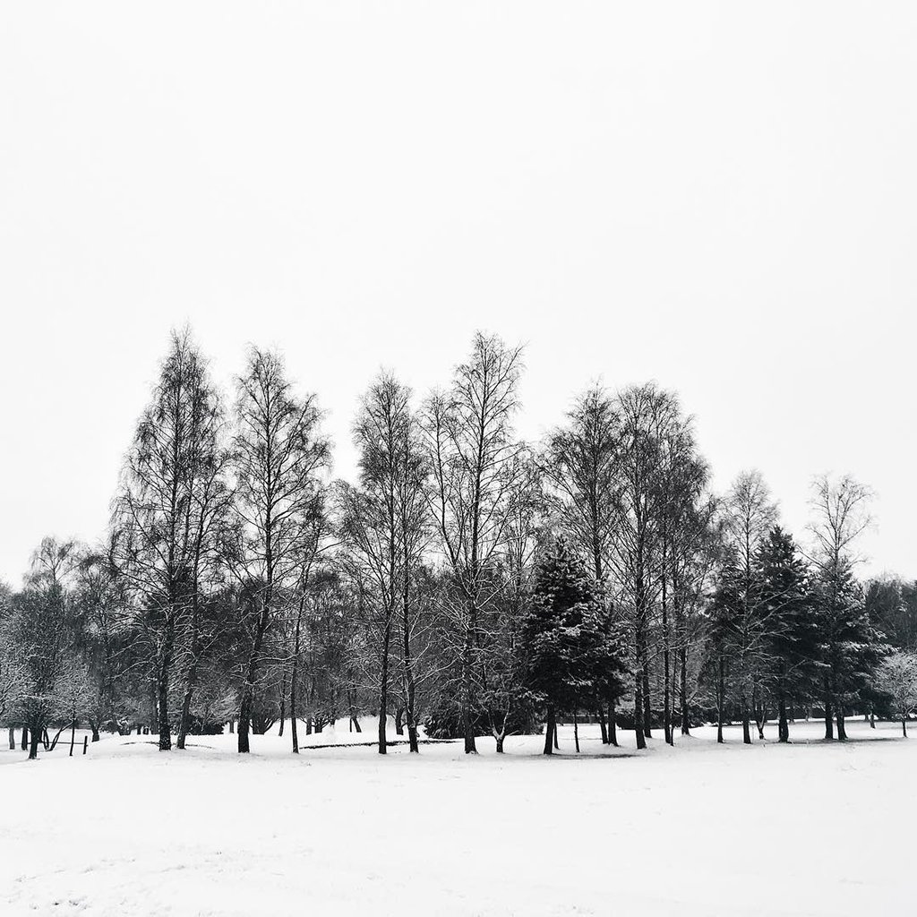 Mobiography Photo Challenge: 13 Wintertime Inspired Smartphone Photos 6