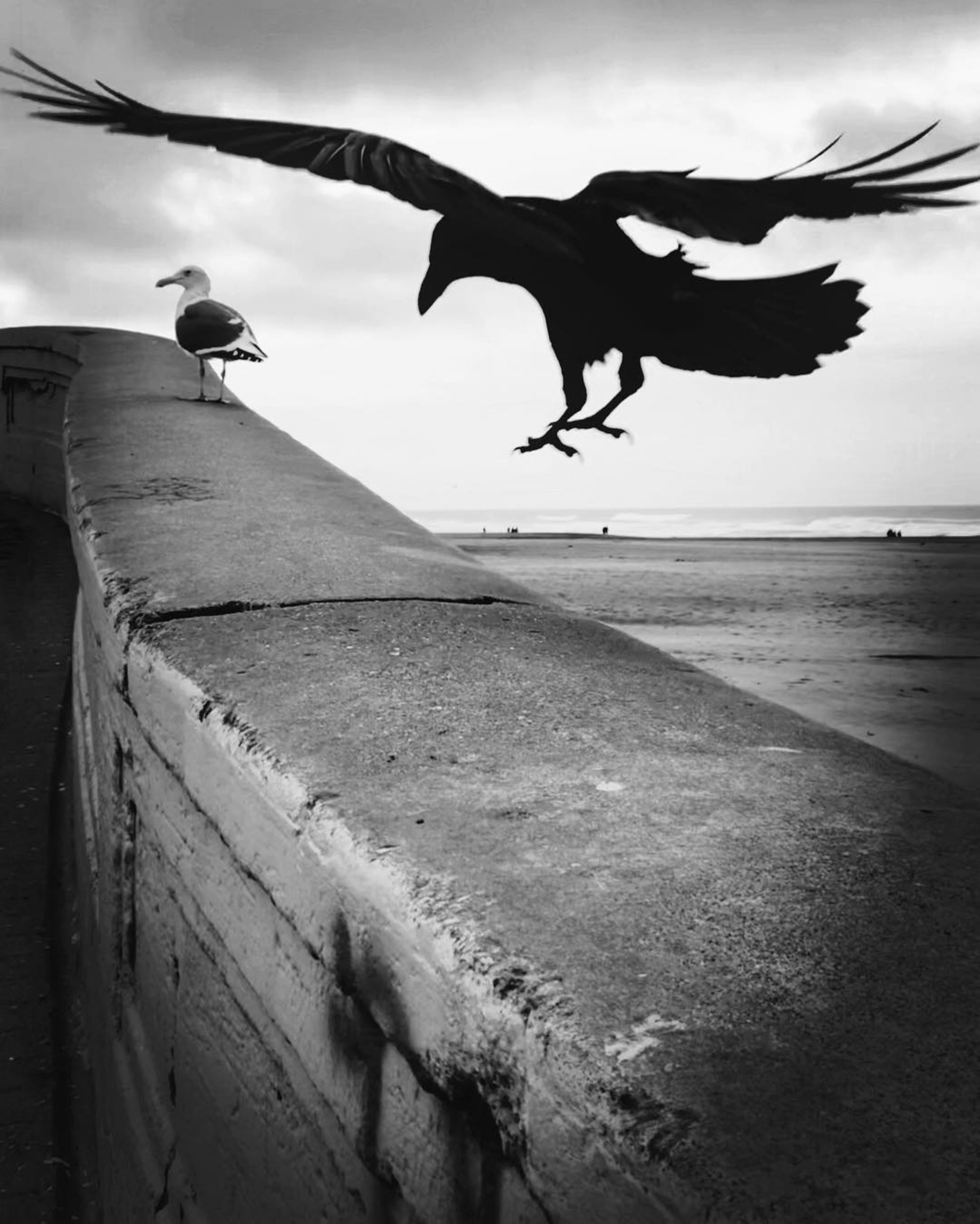 The Stunning Landscape iPhone Photography of Debbie Cooper 11
