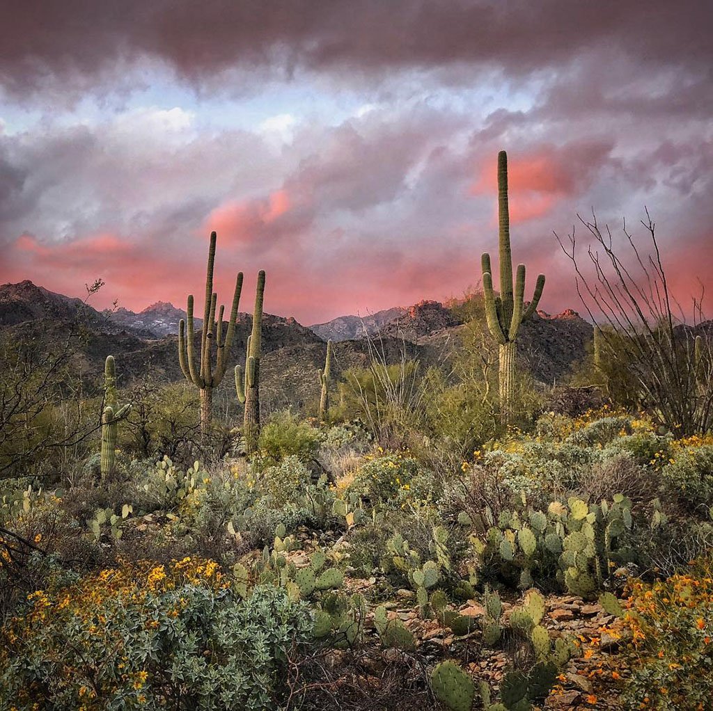 Mobiography Photo Challenge: 15 Beautiful Landscape Inspired Smartphone Photos 2