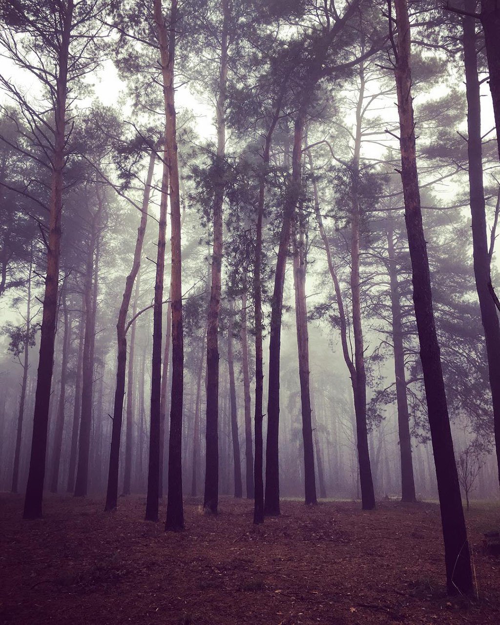 Mobiography Photo Challenge: 15 Beautiful Landscape Inspired Smartphone Photos 3