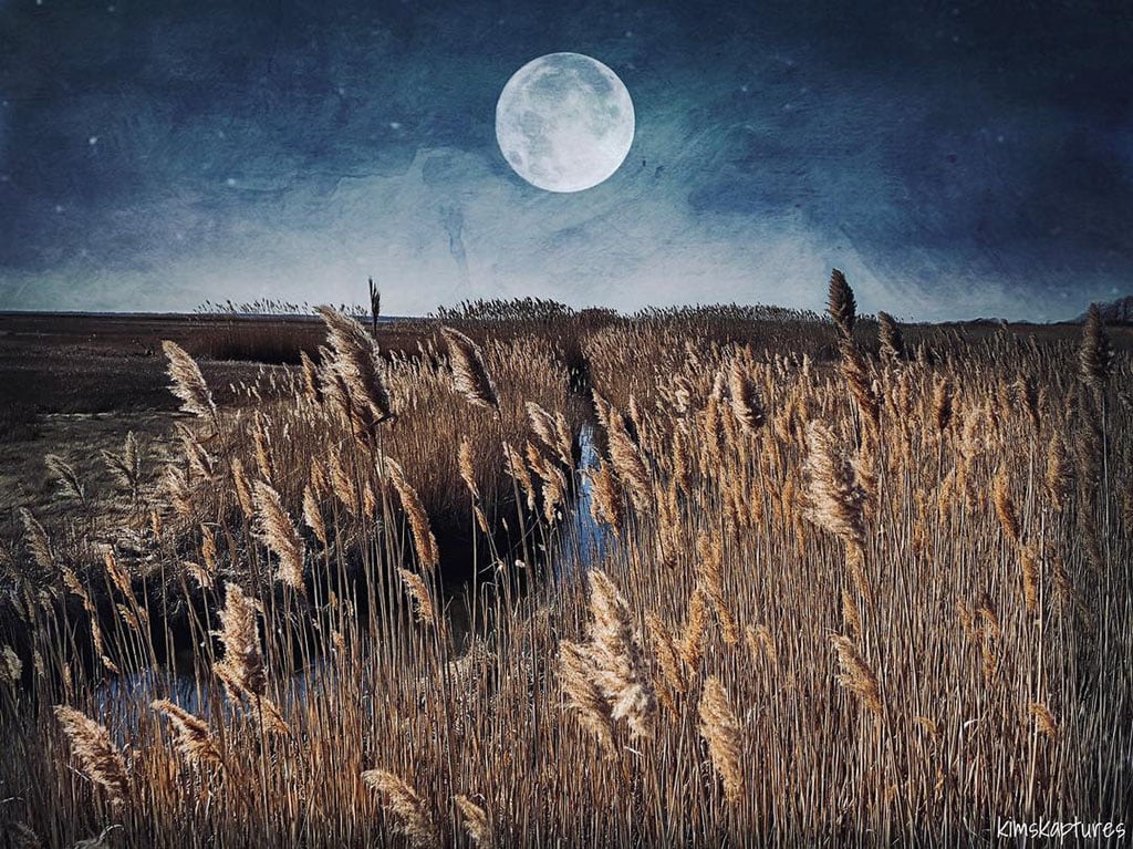 Mobiography Photo Challenge: 15 Beautiful Landscape Inspired Smartphone Photos 6
