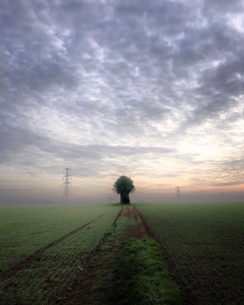 Mobiography Photo Challenge: 15 Beautiful Landscape Inspired Smartphone Photos 12