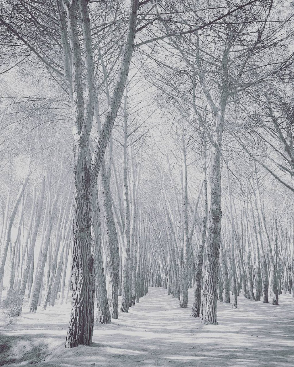 Mobiography Photo Challenge: 15 Beautiful Landscape Inspired Smartphone Photos 14