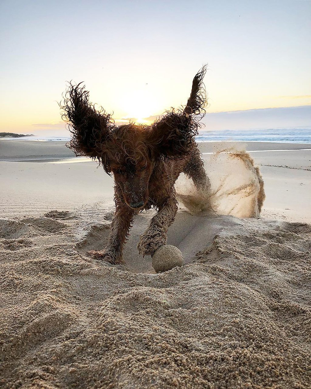 Mobiography Photo Challenge: 12 Movement and Motion Inspired Photos Taken With a Smartphone 4