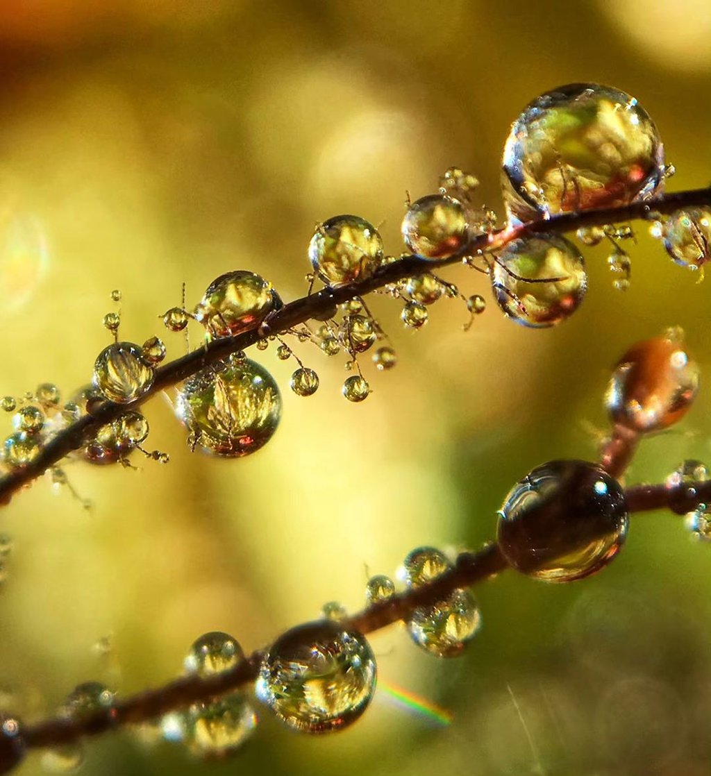 Mobiography Photo Challenge: 15 Yellow Inspired Photos Taken With a Smartphone 5