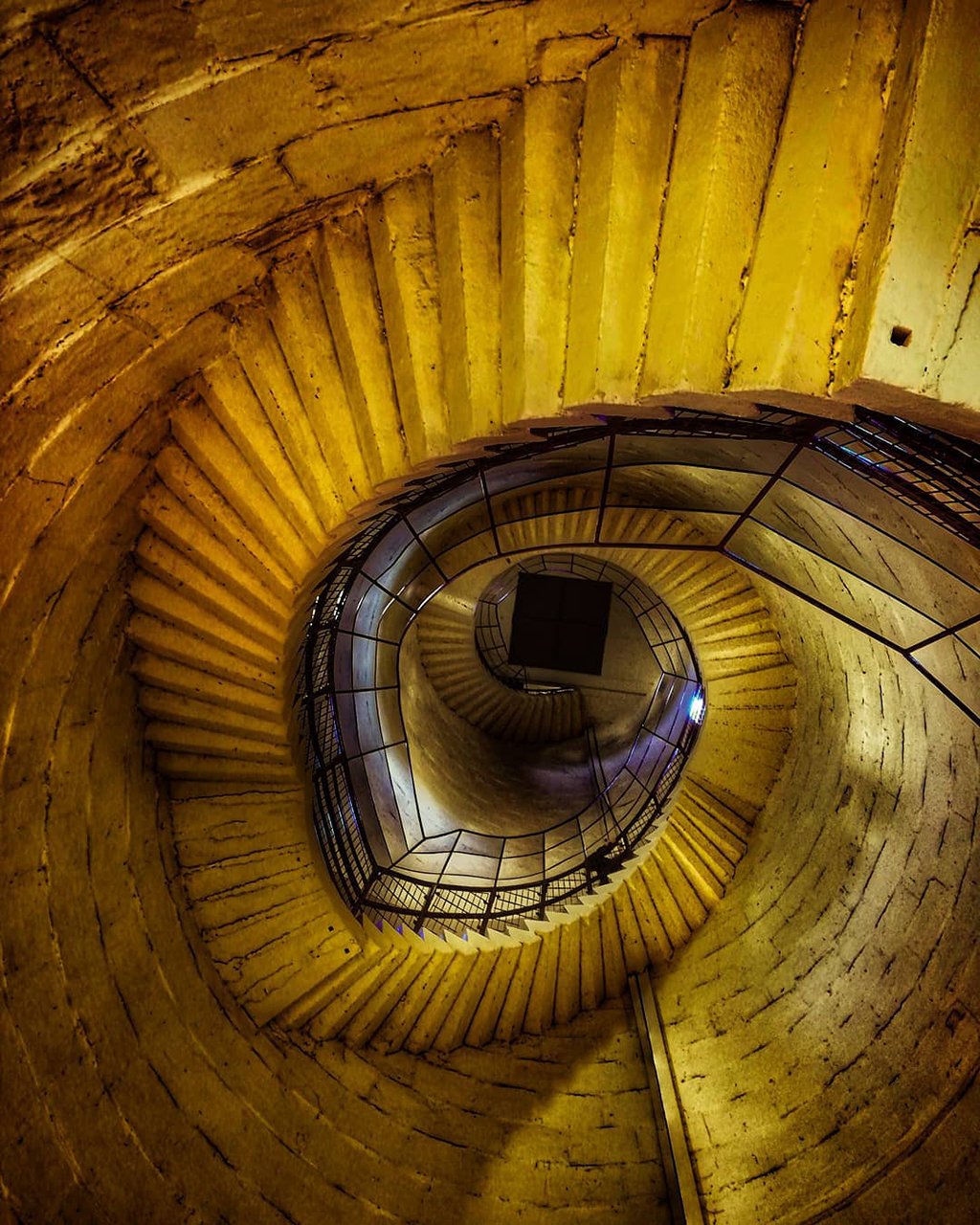 Mobiography Photo Challenge: 15 Yellow Inspired Photos Taken With a Smartphone 8