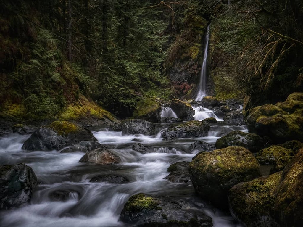 Mobiography Photo Challenge: 12 Movement and Motion Inspired Photos Taken With a Smartphone 3