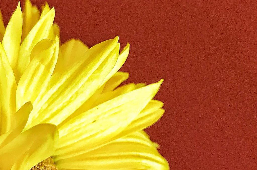 Mobiography Photo Challenge: 15 Yellow Inspired Photos Taken With a Smartphone