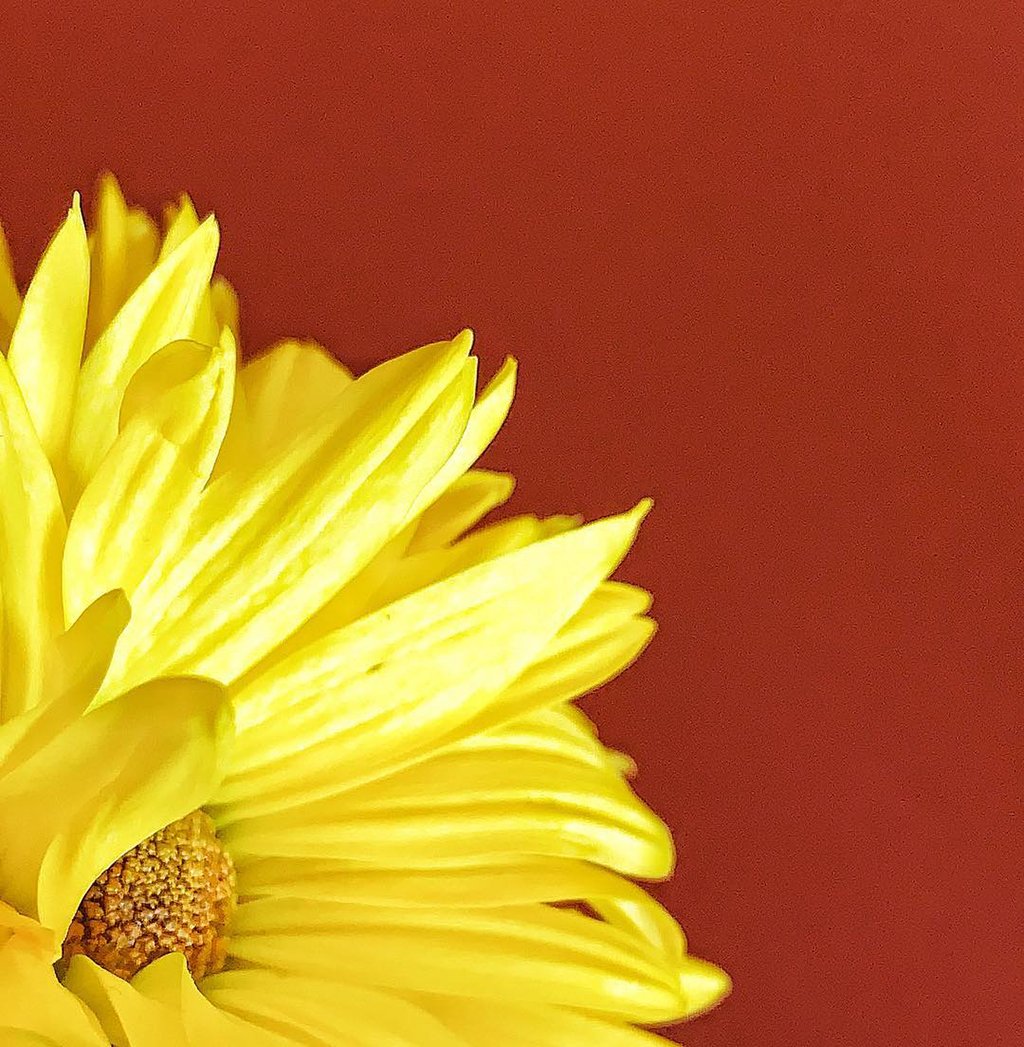 Mobiography Photo Challenge: 15 Yellow Inspired Photos Taken With a Smartphone 9