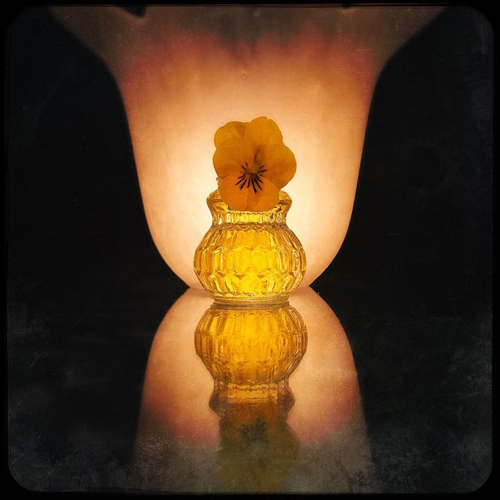 Mobiography Photo Challenge: 15 Yellow Inspired Photos Taken With a Smartphone 13