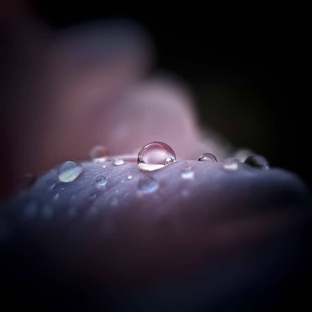 Mobiography Photo Challenge: 12 Wonderful Rainy Day Photos Taken With a Smartphone 7