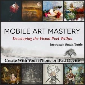 iPhone Photography Courses 6