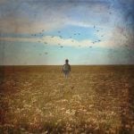 Distressed FX Tutorial: How to Create Painterly Art