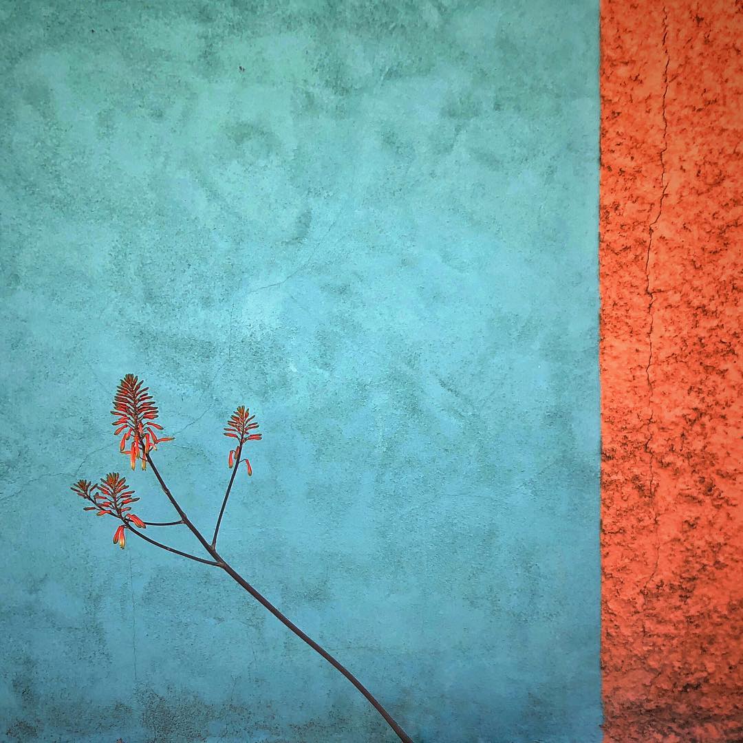 Mobiography Photo Challenge: 10 Amazing Abstract Inspired Smartphone Photos 1