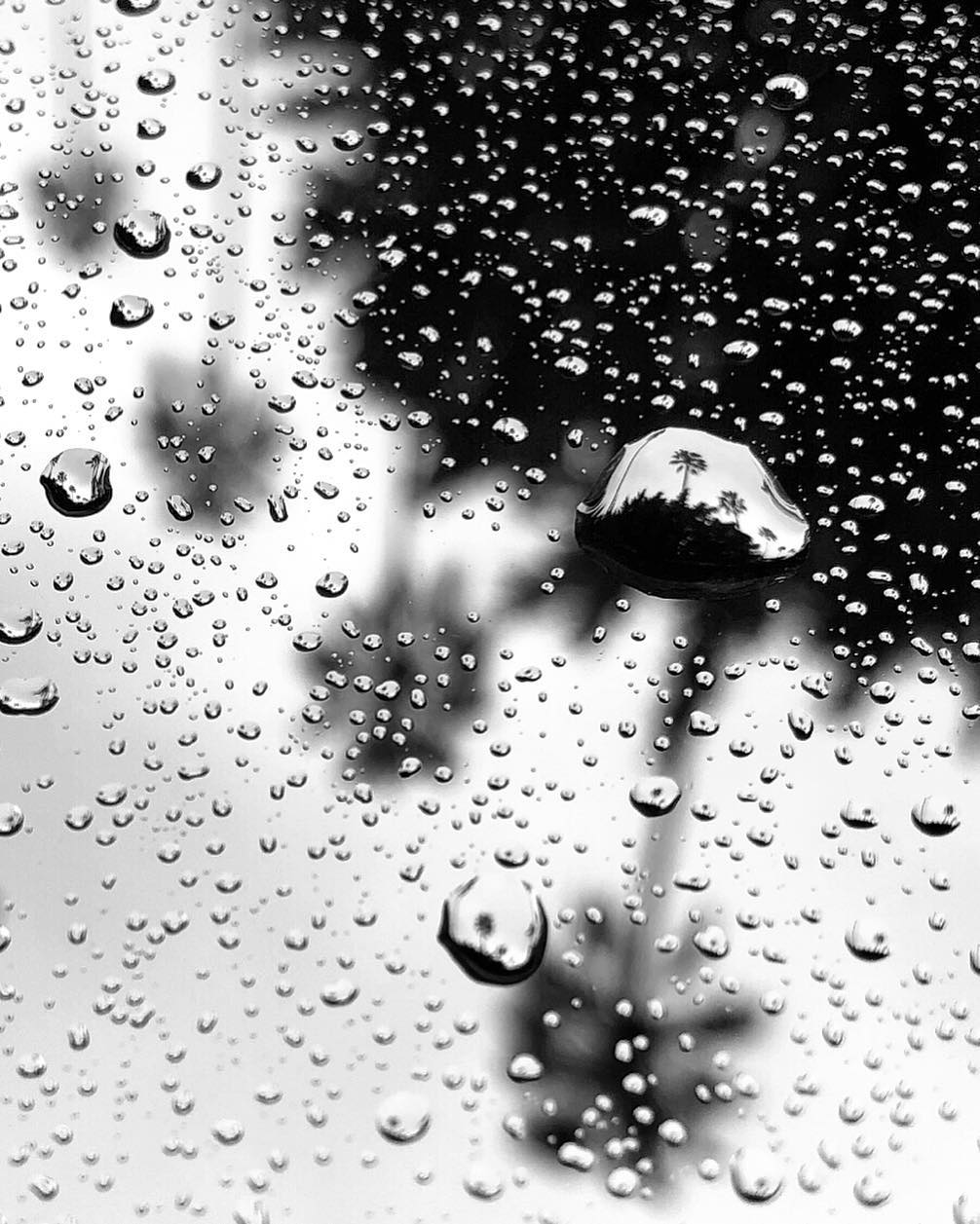 Mobiography Photo Challenge: 10 Wonderful Rainy Day Inspired Smartphone Photos 4