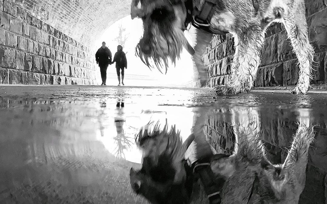 Mobiography Photo Challenge: 10 Wonderful Rainy Day Inspired Smartphone Photos