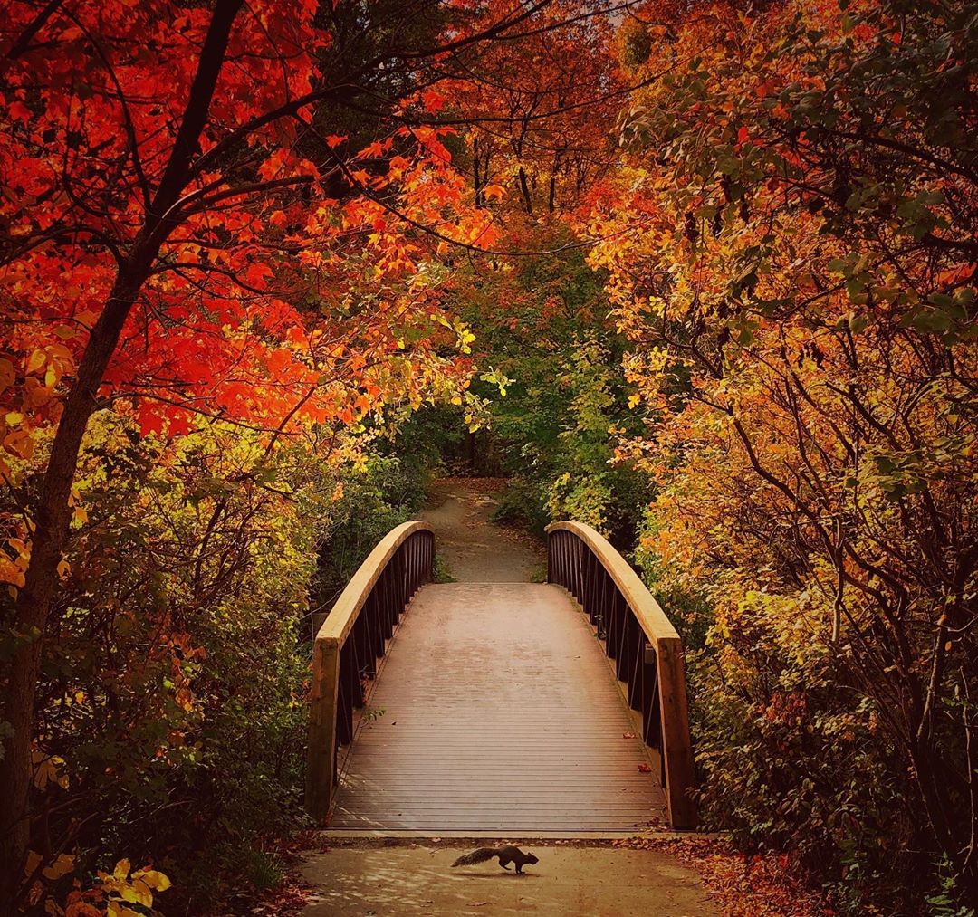 Mobiography Photo Challenge: 14 Amazing Autumn Time Inspired Smartphone Photos 5