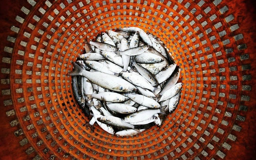 Mobiography Photo Challenge: 12 Stunning Symmetry Inspired Smartphone Photos