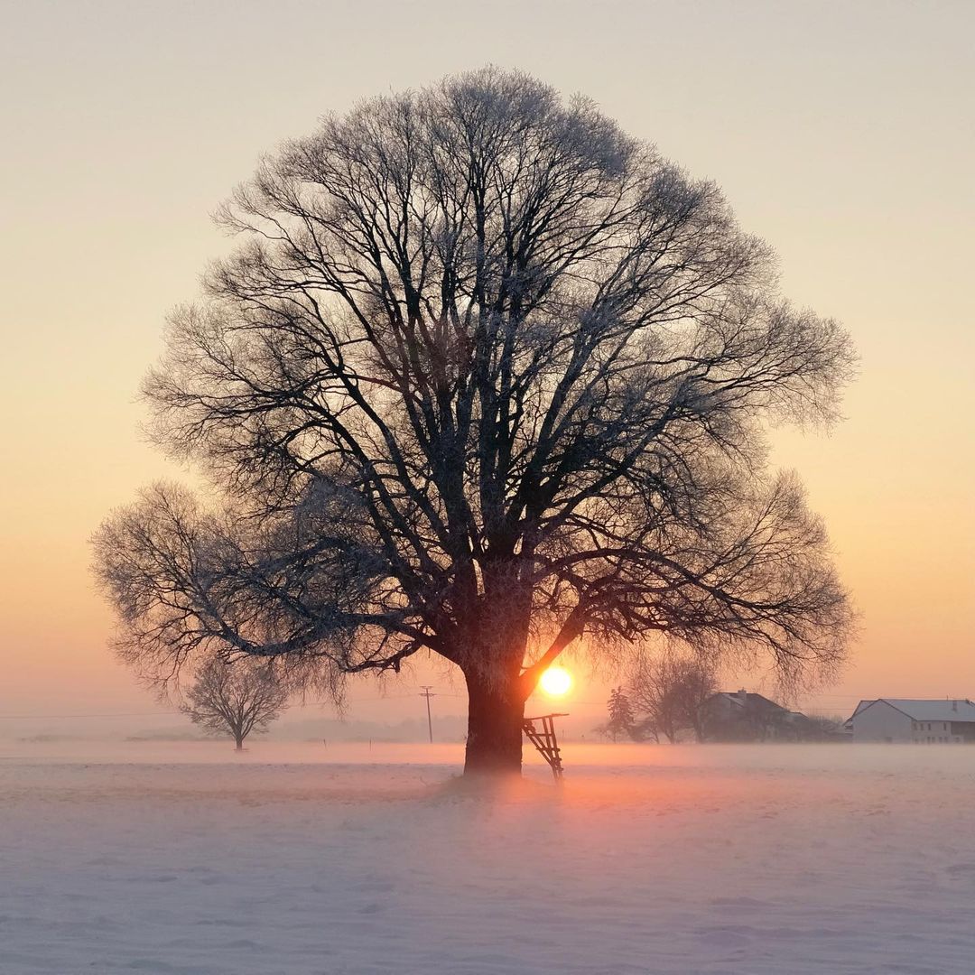Mobiography Photo Challenge: 10 Wonderful Wintertime Inspired Smartphone Photos 10