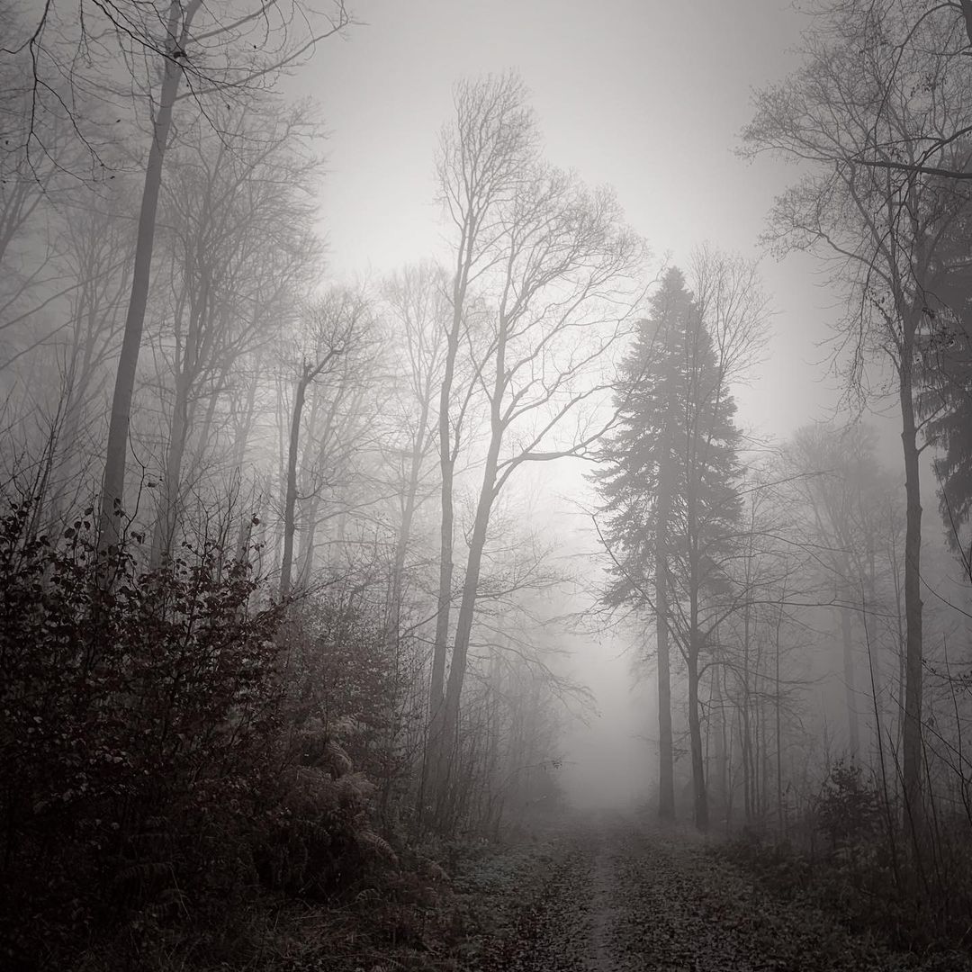 Mobiography Photo Challenge: 15 Stunning Black and White Smartphone Photos 6