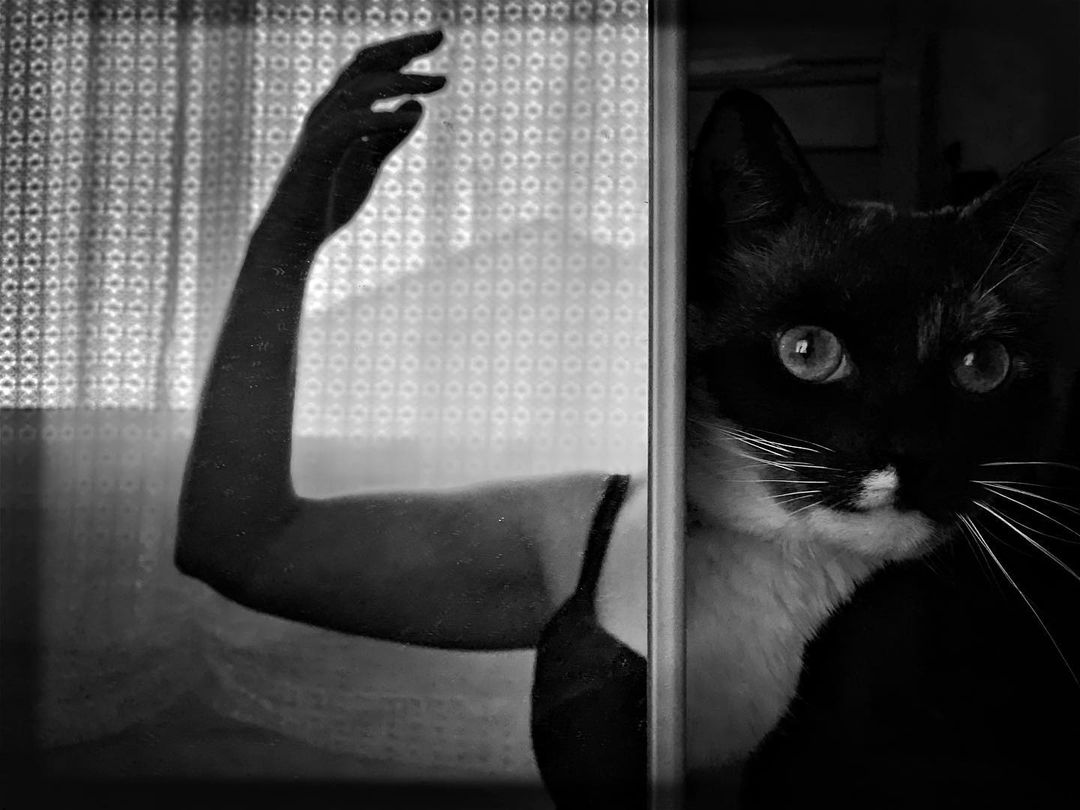 Mobiography Photo Challenge: 15 Stunning Black and White Smartphone Photos 7