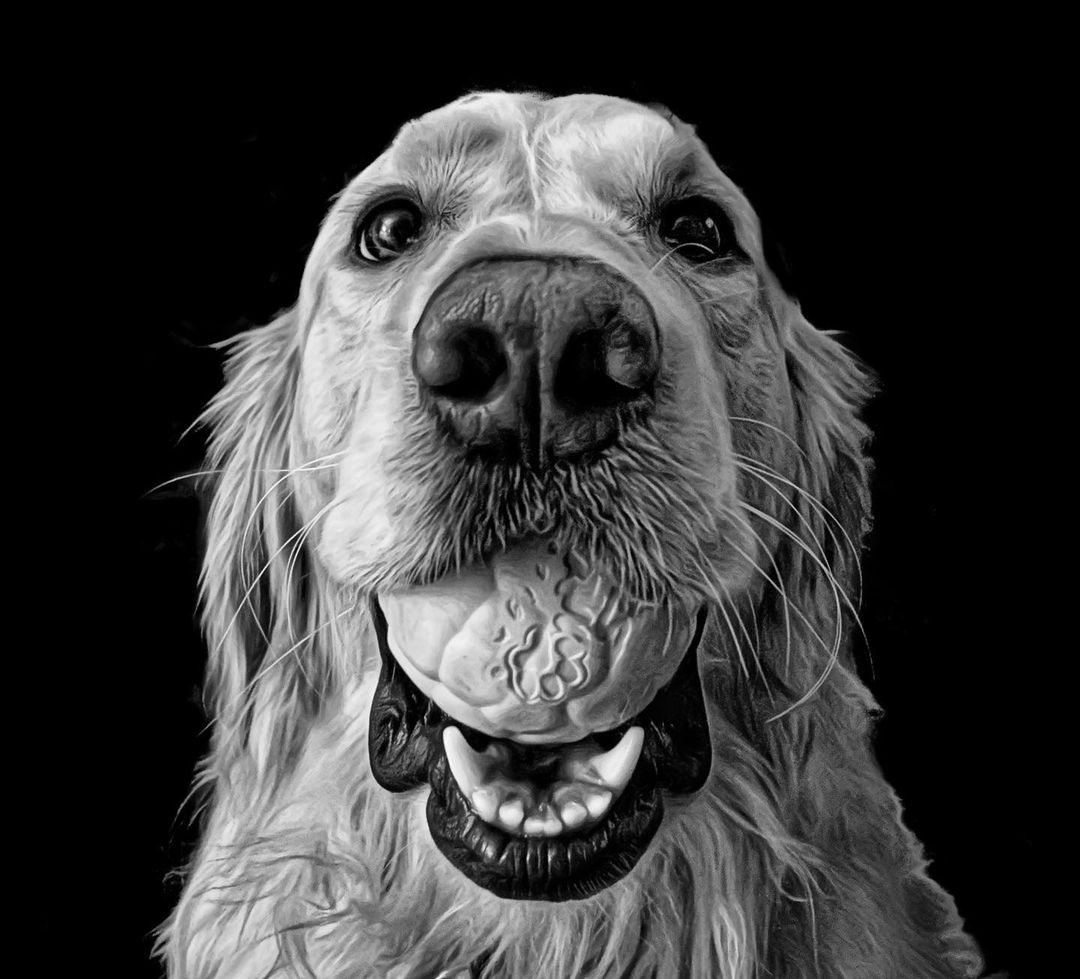 Mobiography Photo Challenge: 15 Stunning Black and White Smartphone Photos 8