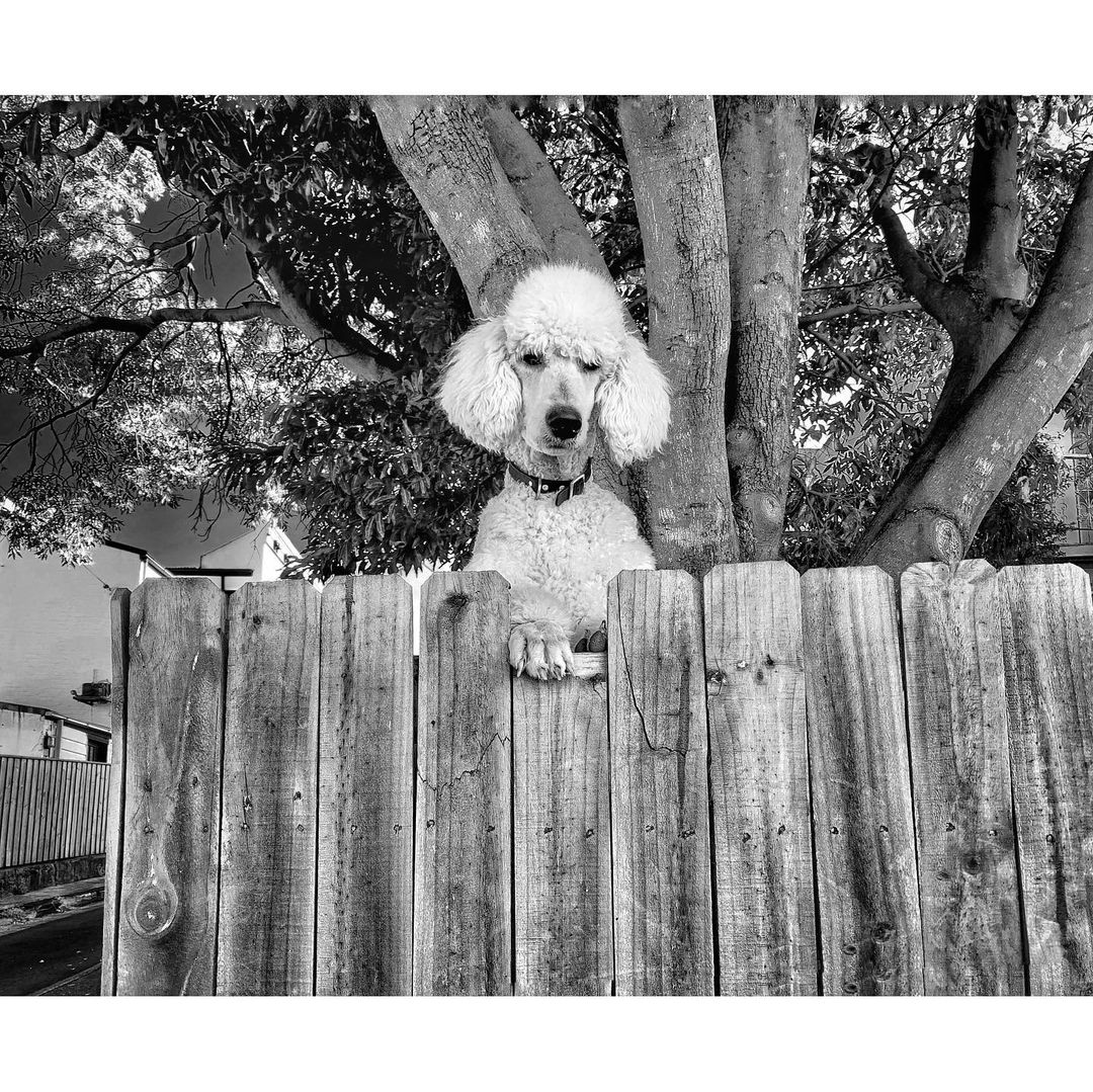 Mobiography Photo Challenge: 15 Stunning Black and White Smartphone Photos 12