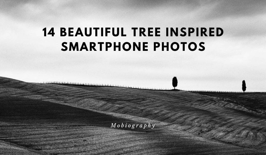 Mobiography Photo Challenge: 14 Beautiful Tree Inspired Smartphone Photos