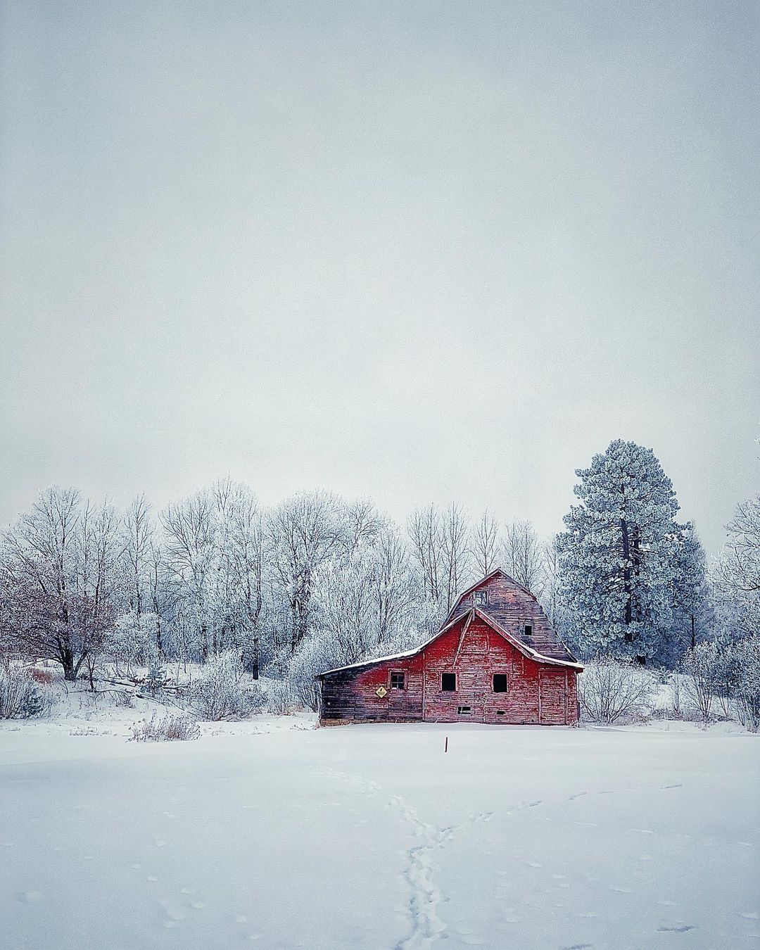 Mobiography Photo Challenge: 16 Beautifully Simple Composition Inspired Smartphone Photos 8