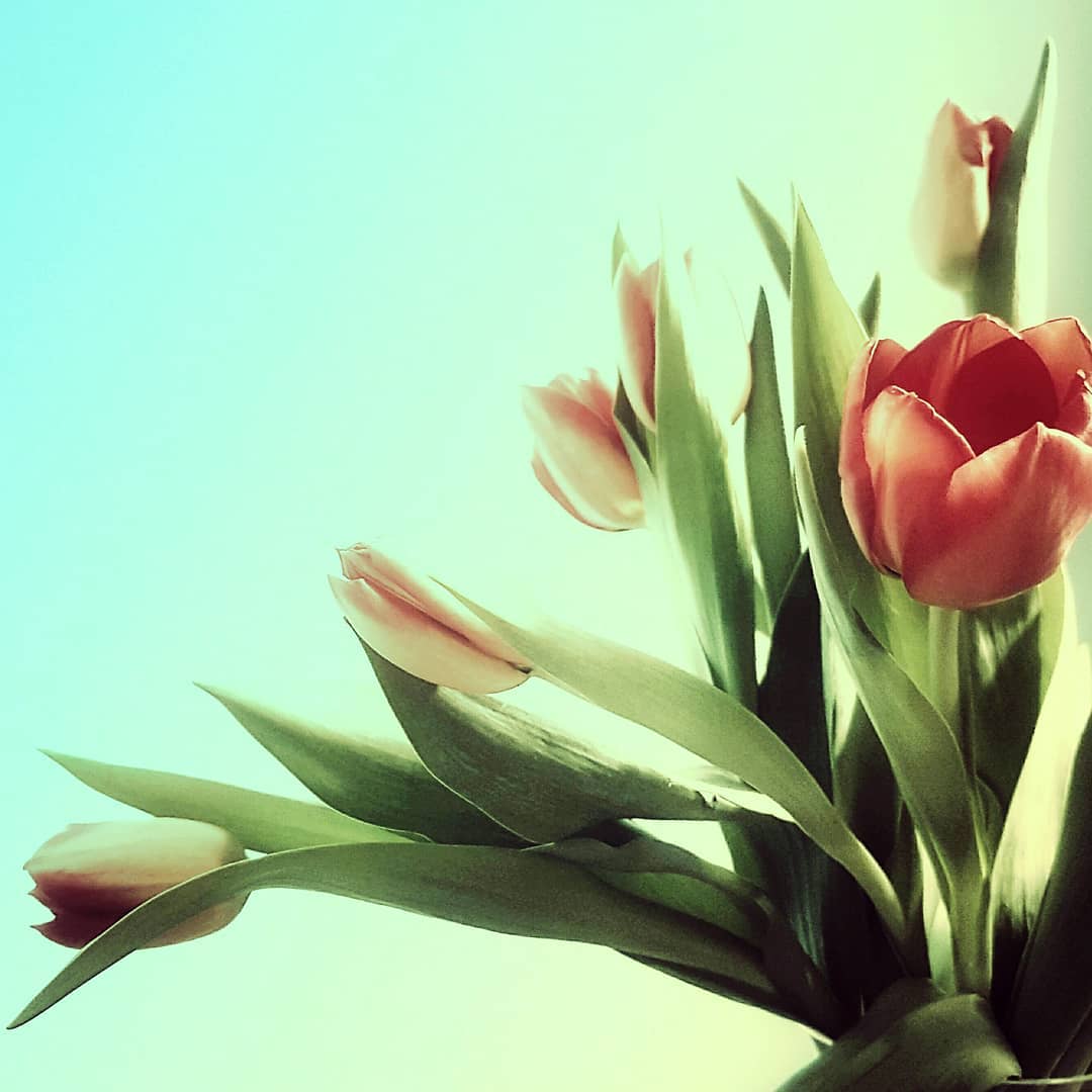 Mobiography Photo Challenge: 14 Stunning Springtime Inspired Smartphone Photos 5
