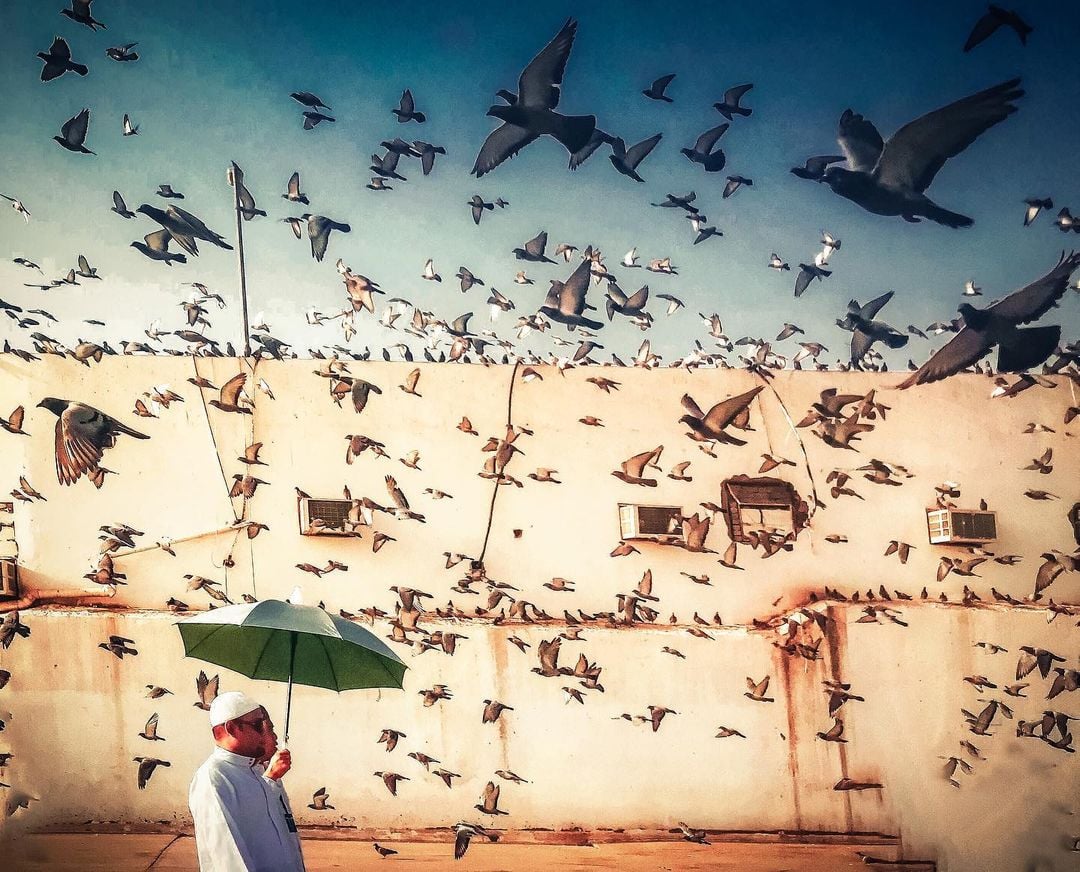 Mobiography Photo Challenge: 13 Superb Smartphone Photos Inspired by 'The World Around You' 12