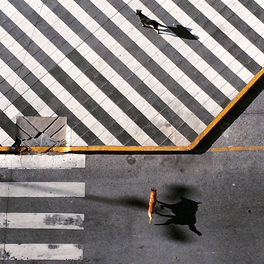 Mobiography Photo Challenge: 17 Stunning Shadow Inspired Smartphone Photos 12