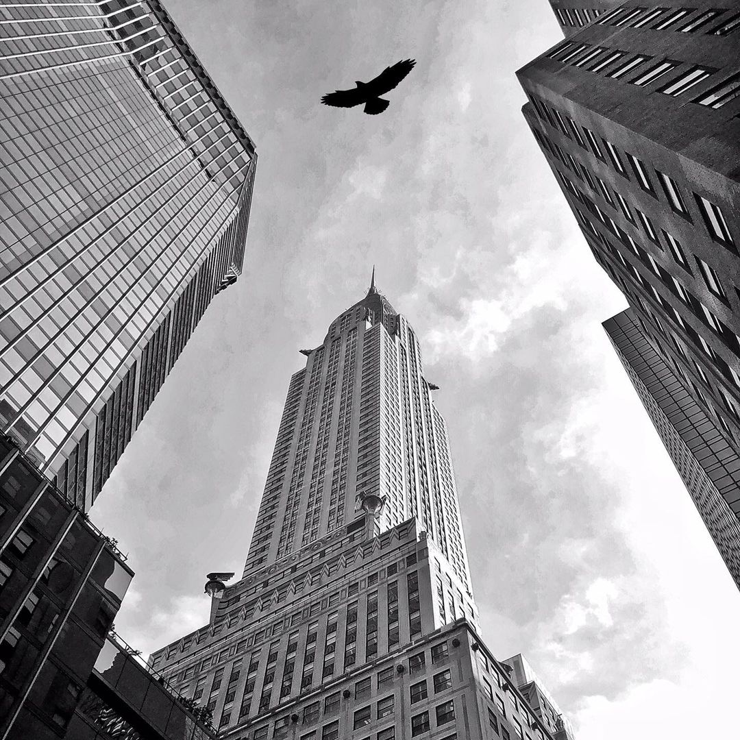 Mobiography Photo Challenge: 15 Wonderful Leading Line Inspired Smartphone Photos 8