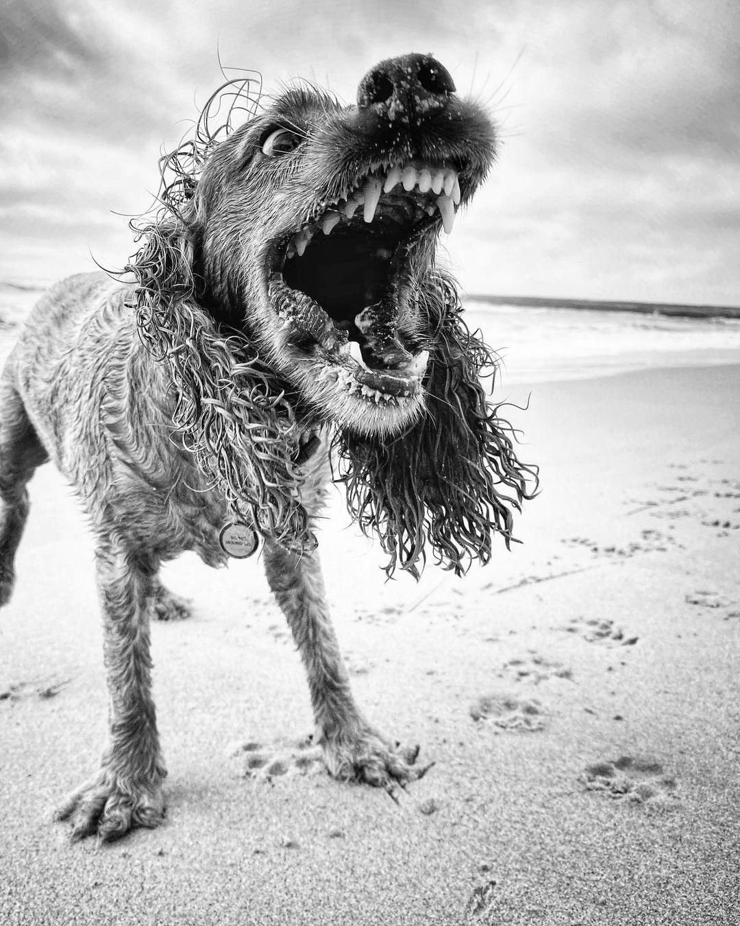 Mobiography Photo Challenge: 12 Up Close & Personal Inspired Smartphone Photos 8