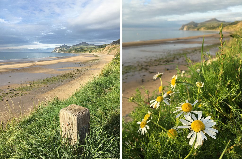 Adding Depth to Your iPhone Photos Using Foreground Interest 02