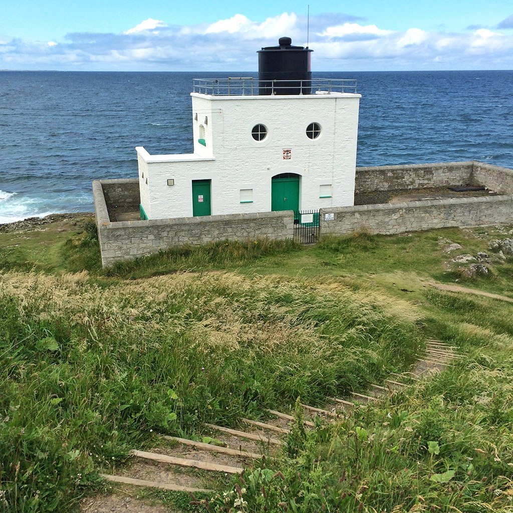 7 Tips to Add Depth to Your iPhone Photos Using Foreground Interest 2