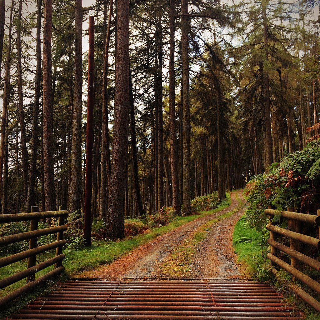 Adding Depth to Your iPhone Photos Using Foreground Interest 01