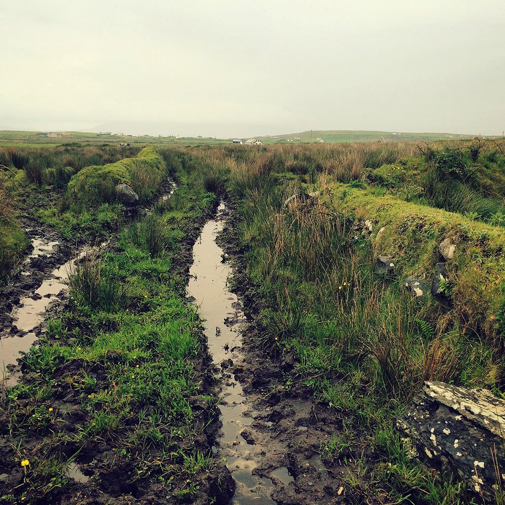 example of lines created by a track in the landscape