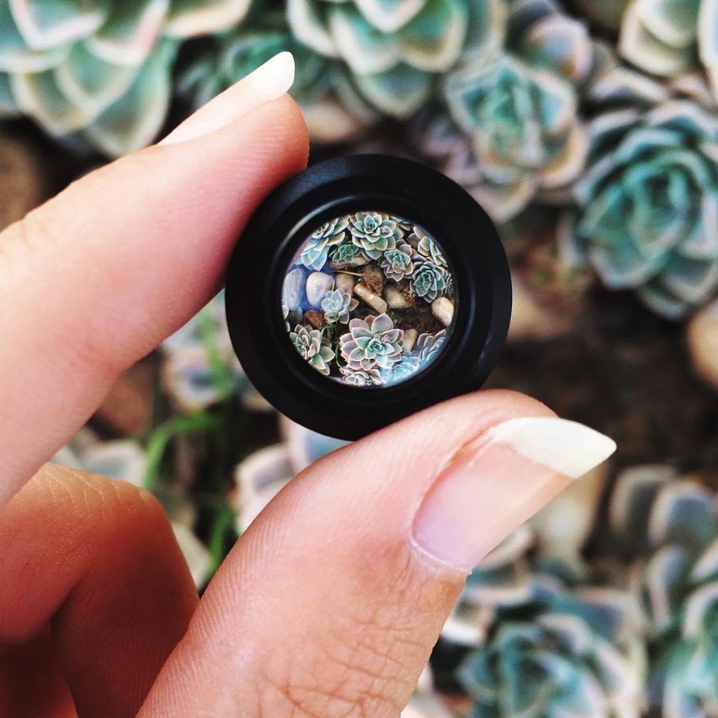 mobile phone macro photography