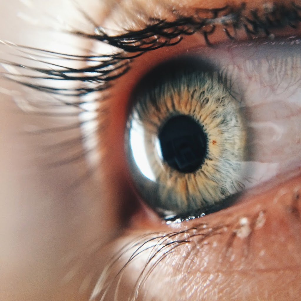 How To Shoot Amazing Macro Photography With Your iPhone 6