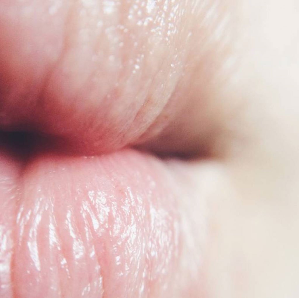 How To Shoot Amazing Macro Photography With Your iPhone 3