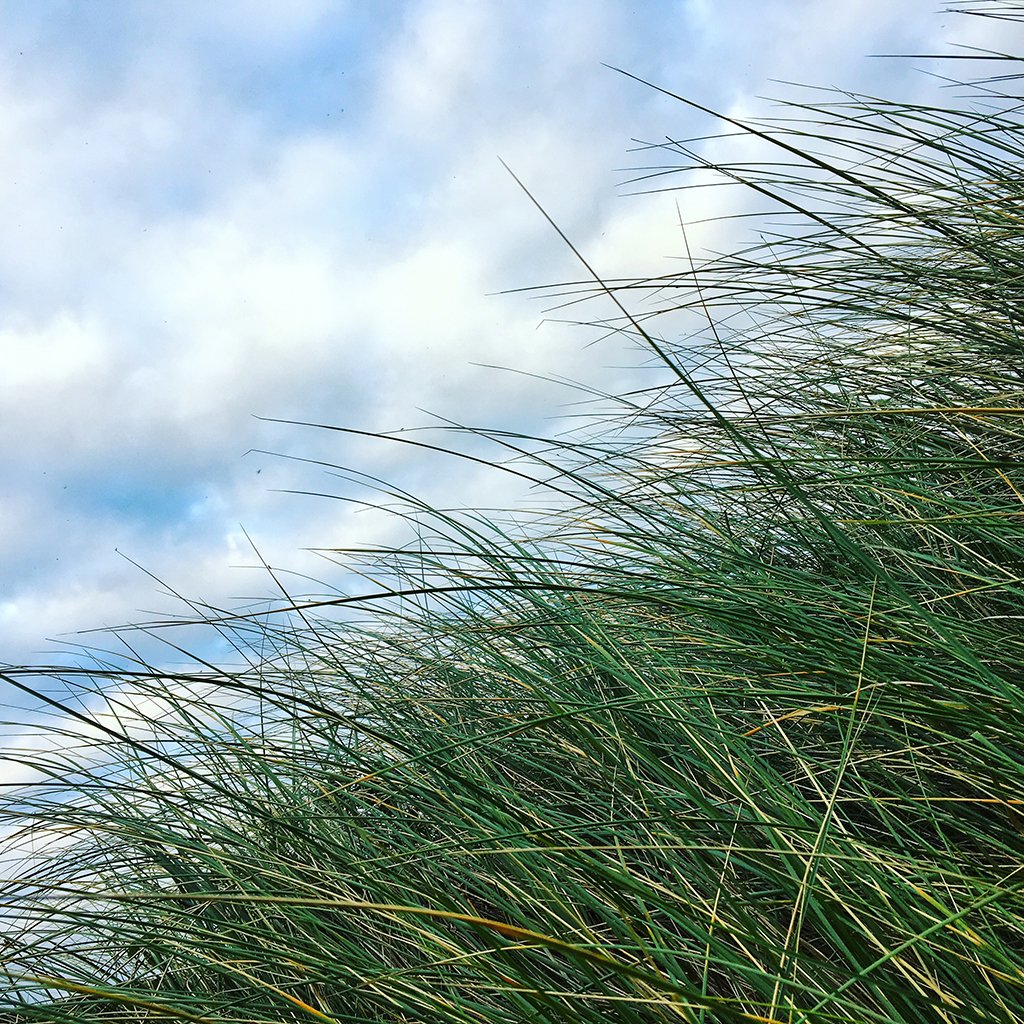 How To Use Negative Space To Create Powerful iPhone Photos 5