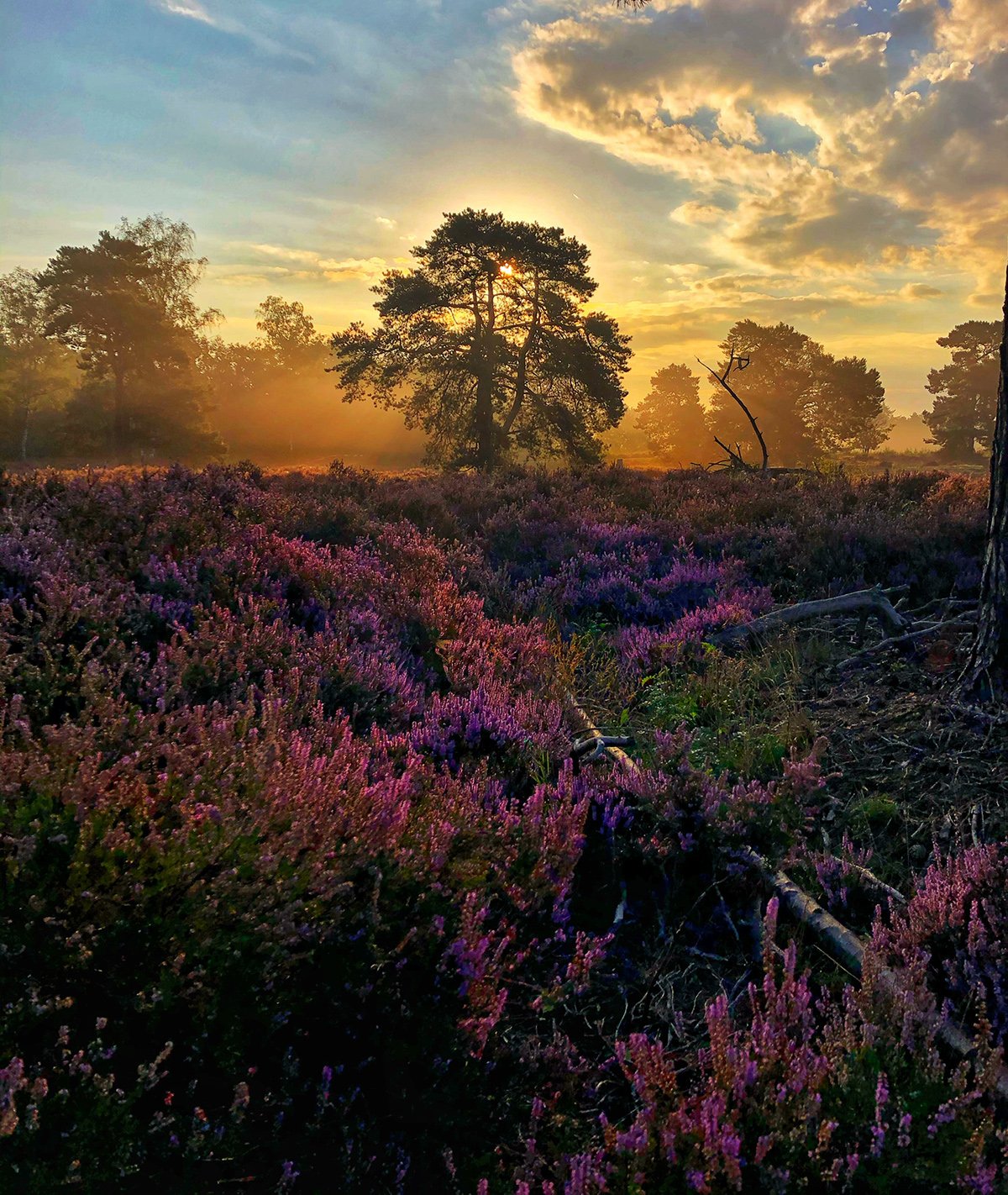 Mobiography Awards 2021: Landscape & Nature 13