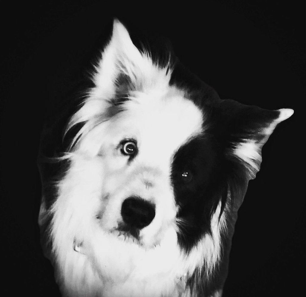 Mobiography Photo Challenge: 14 Black and White Inspired Smartphone Photos 7