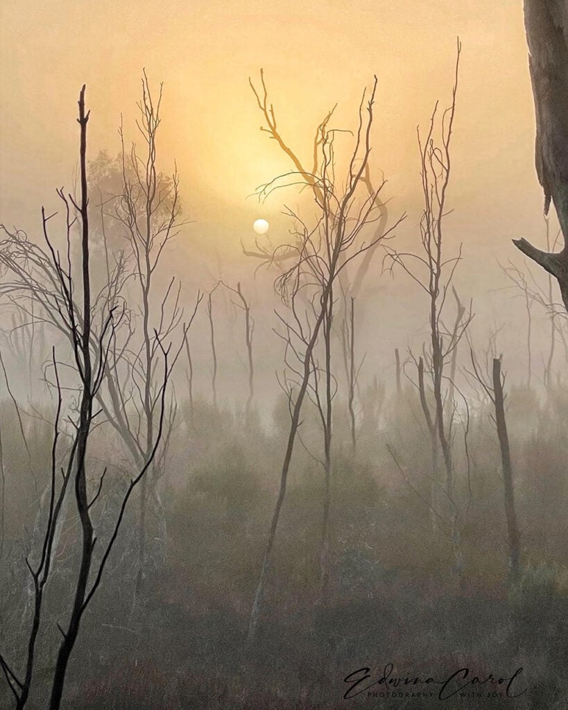 Mobiography Photo Challenge: 15 Beautiful Landscape Inspired Smartphone Photos 4