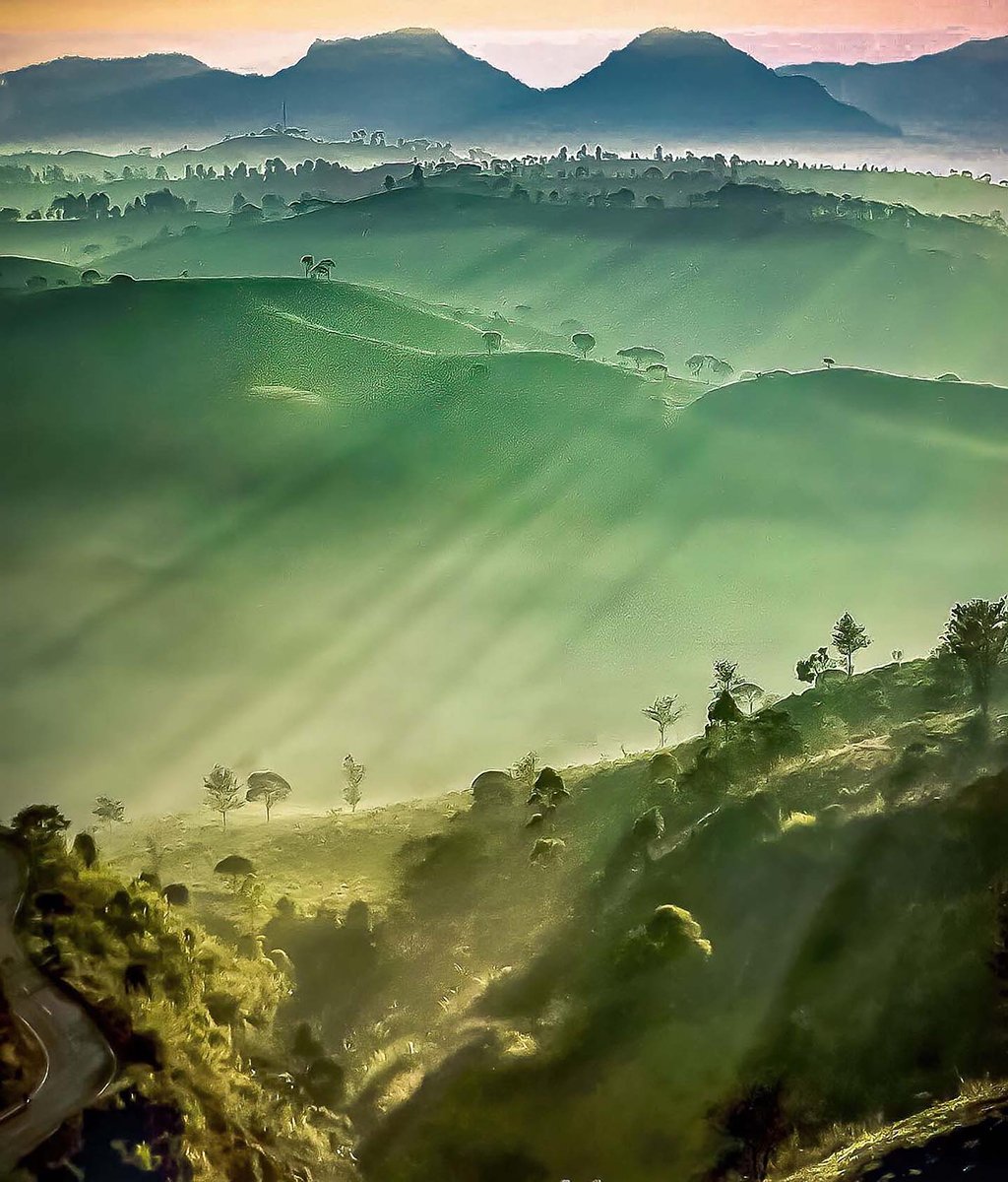 Mobiography Photo Challenge: 14 Wonderfully Green Inspired Smartphone Photos 3