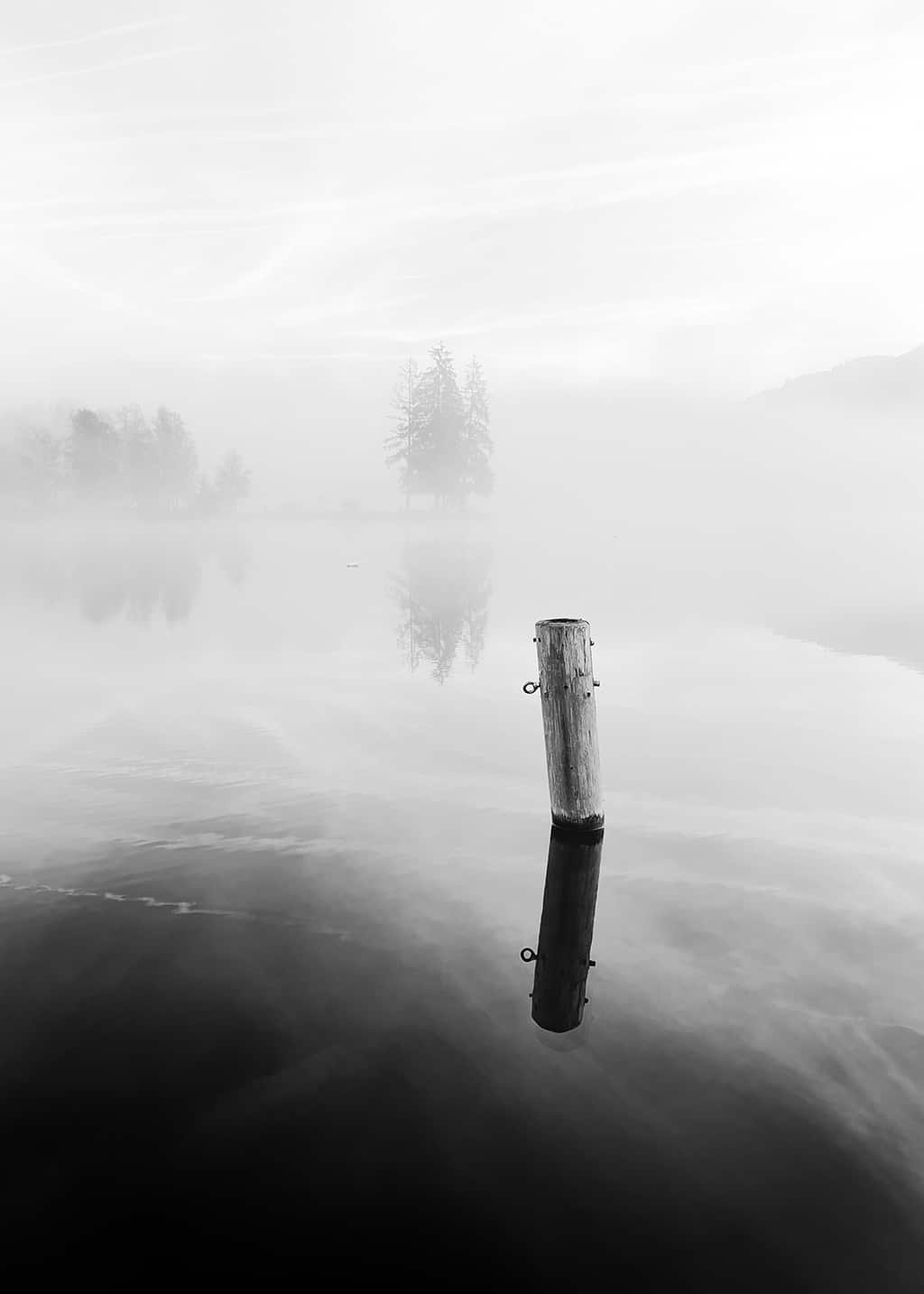 Birgit__Kwasniewski__misty_morning