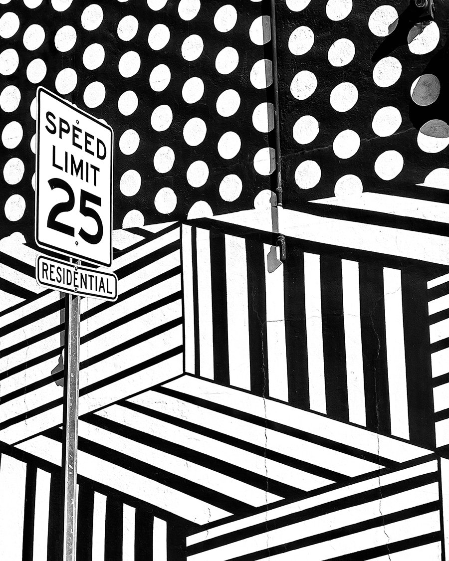 Laura_Paresky_Gould_Speed_Limit_25